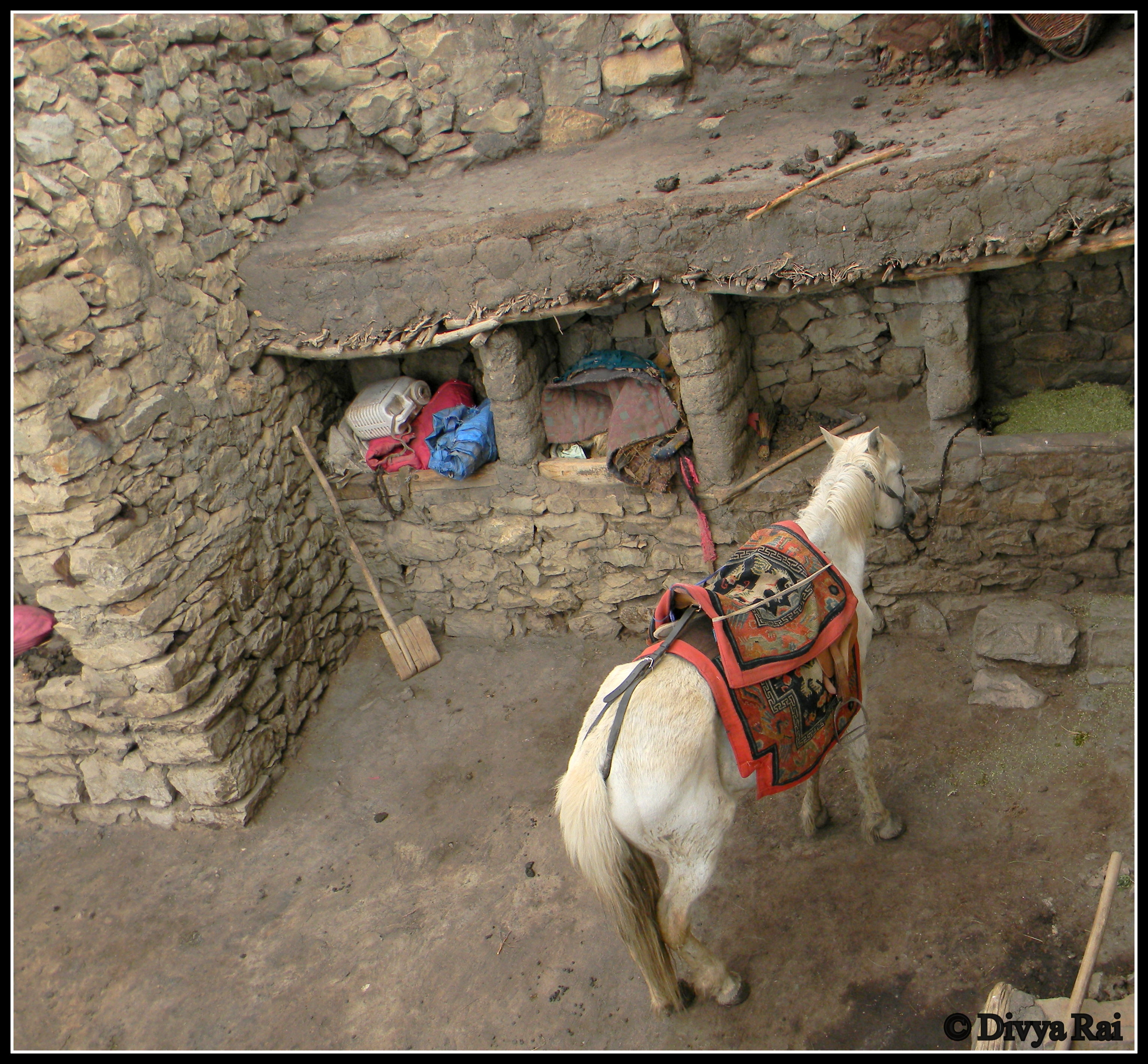 Life in a himalayan village