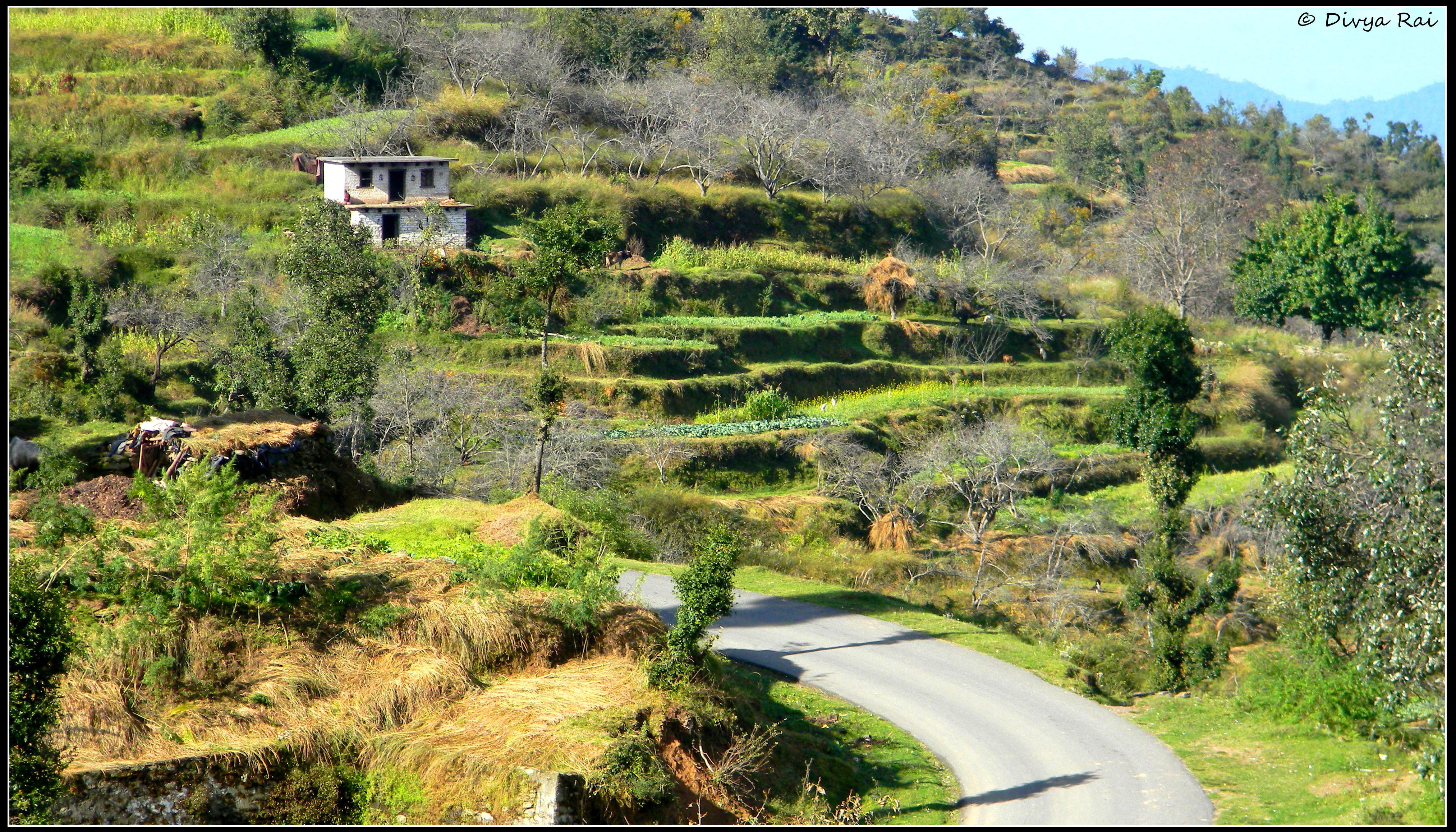 Drive in Uttrakhand