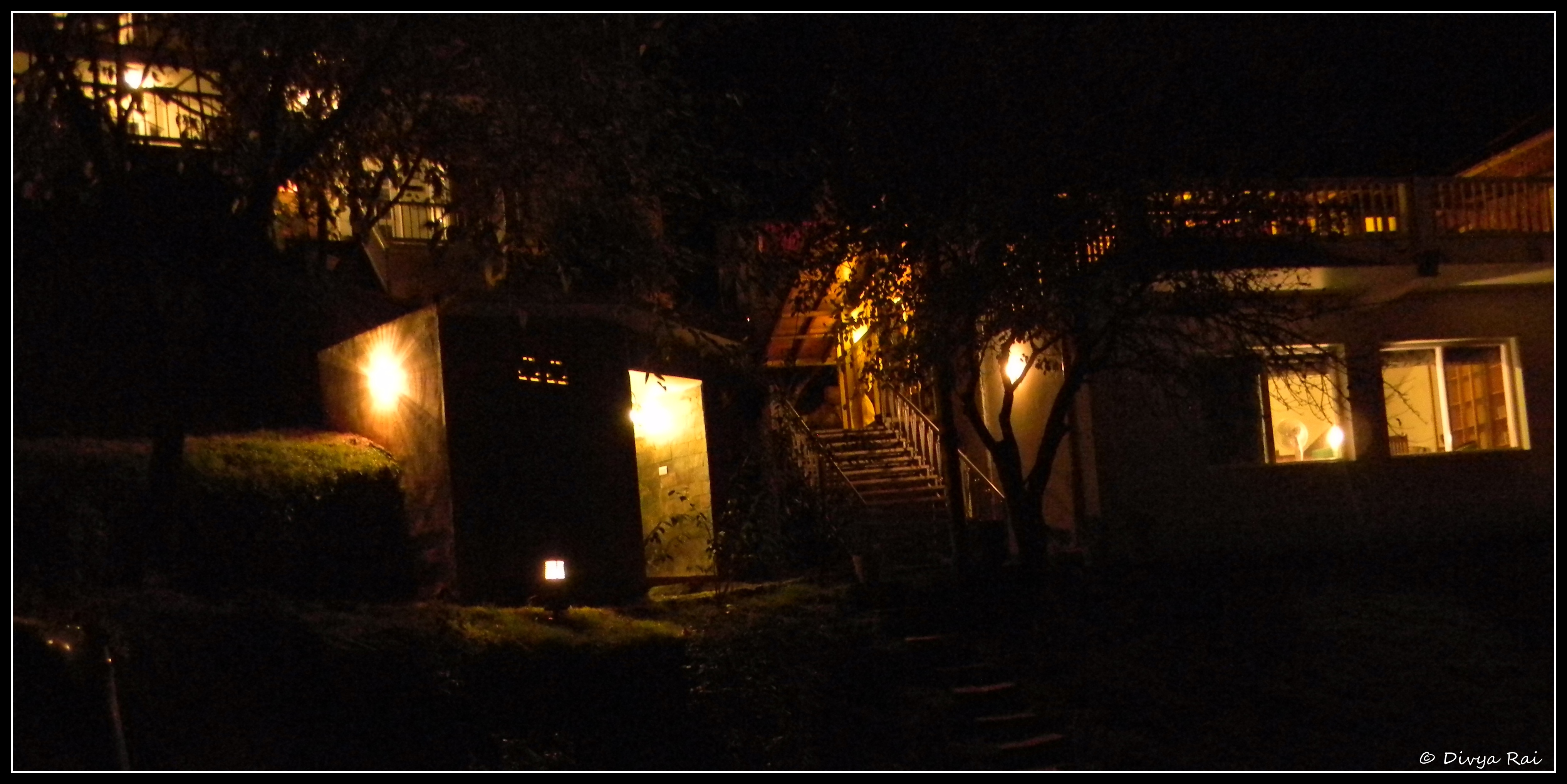 Te Aroha night view