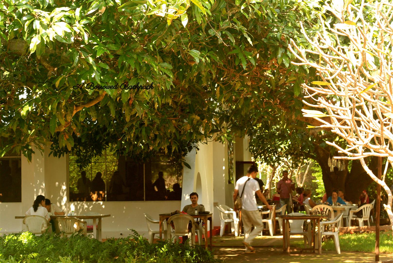 Lunch at Auroville