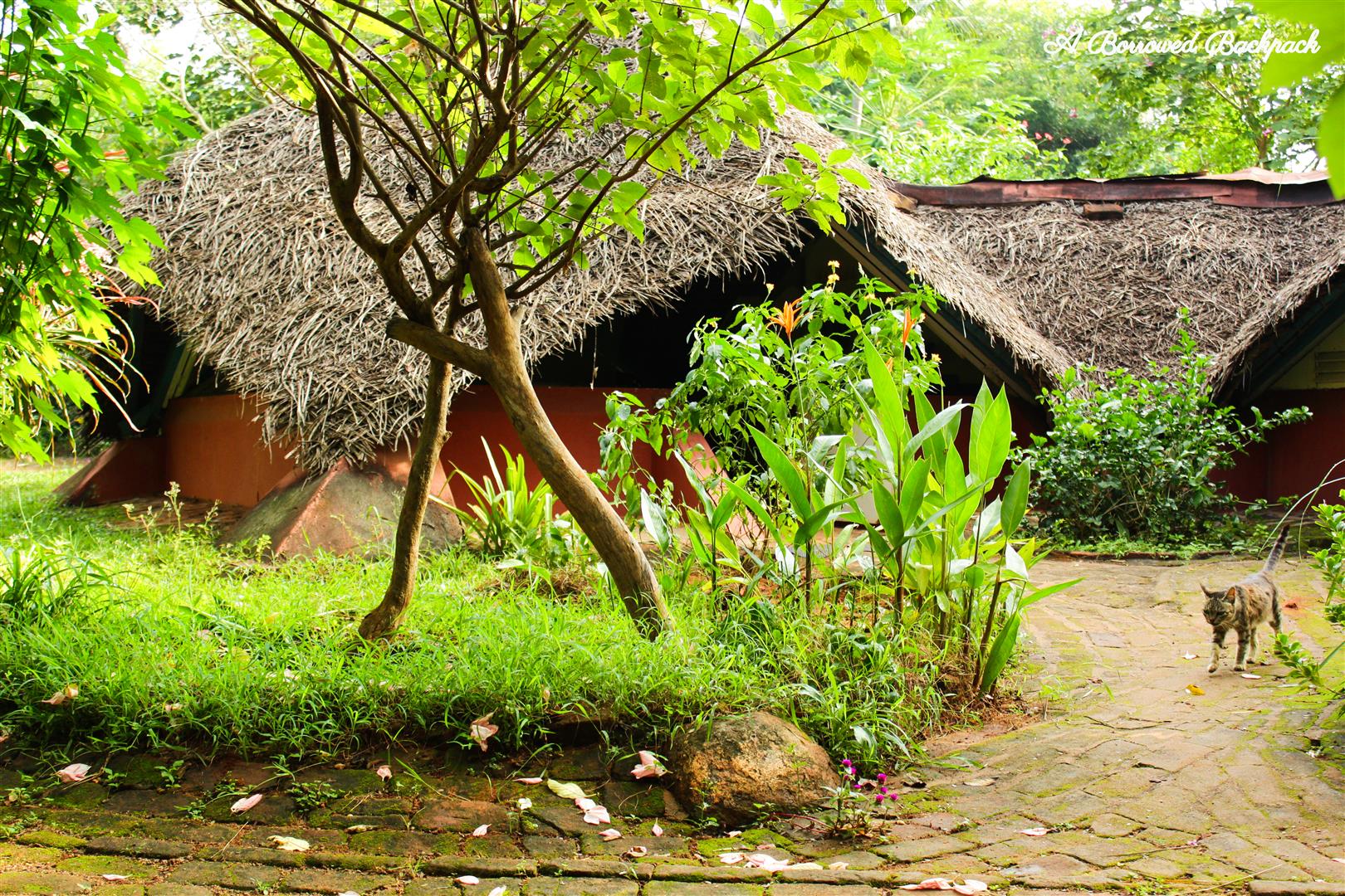 Guest-house in Auroville