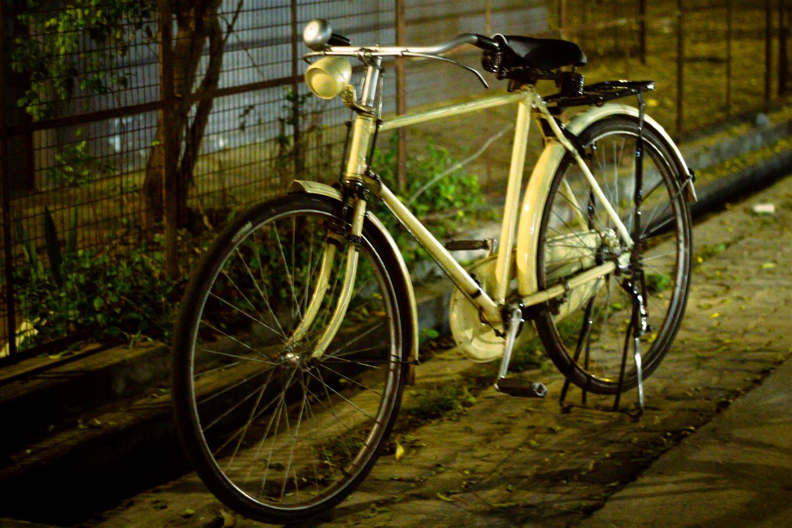 Cycle in Pondicherry