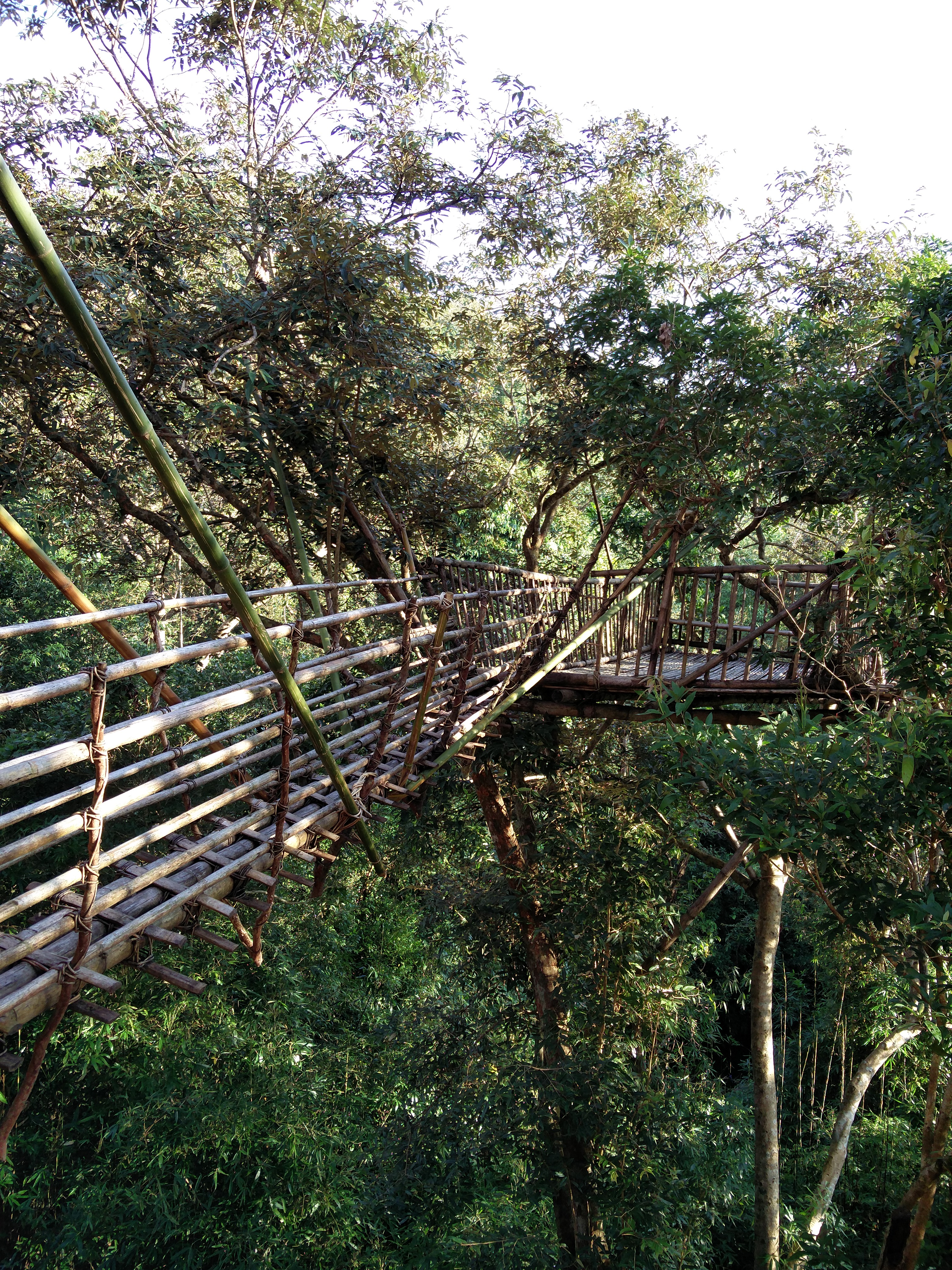 Bangladesh viewing point In Mawlynnong, made of Bamboo