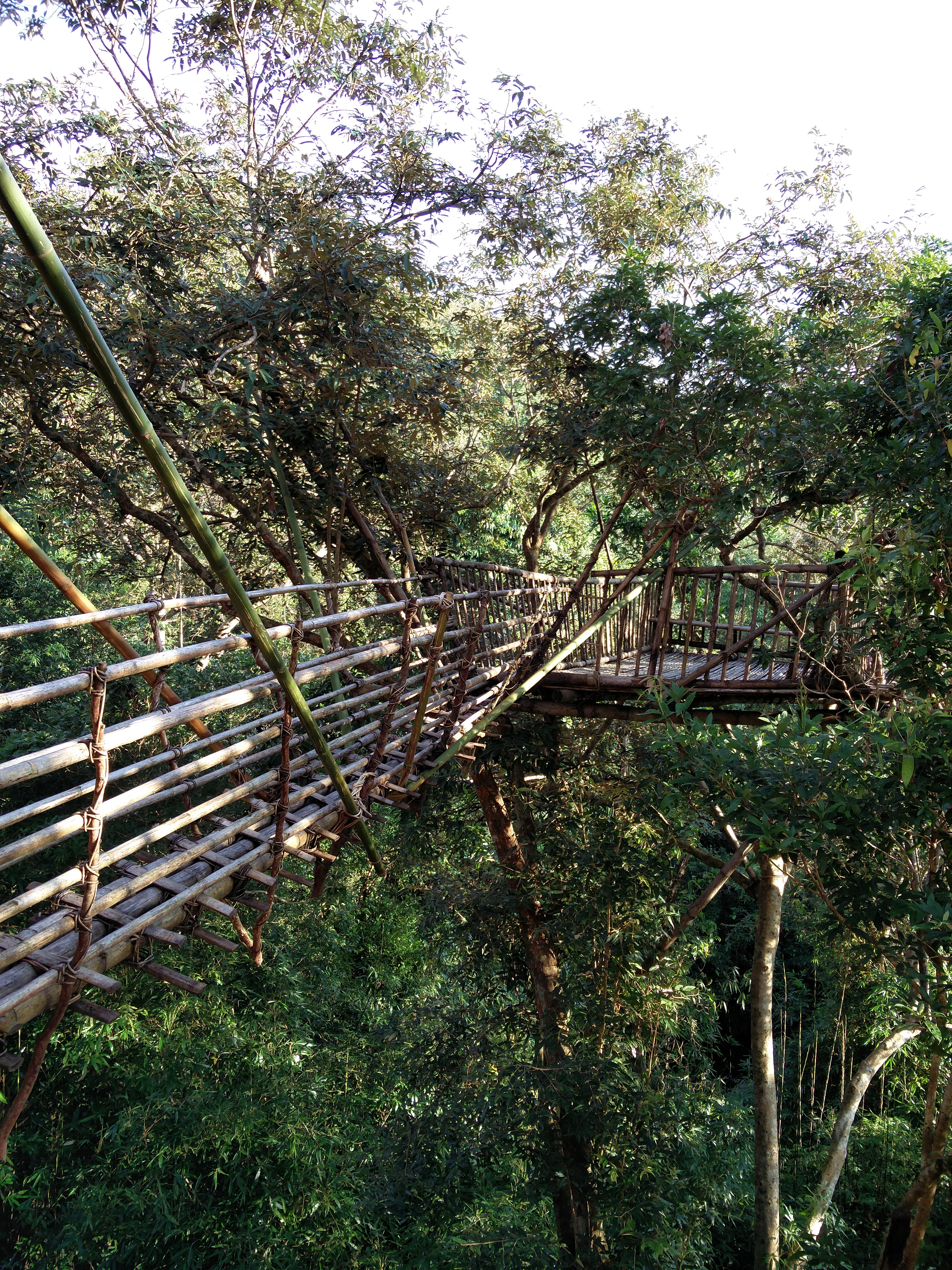 Bangladesh viewing point In Mawlynnong, made of Bamboo 