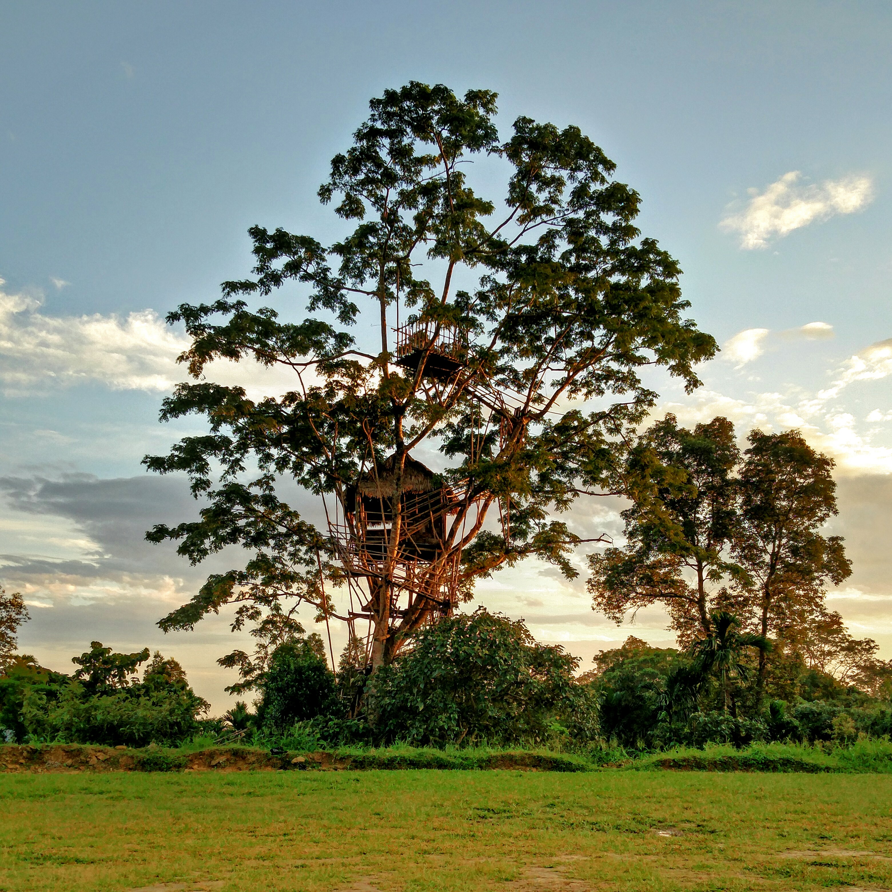 Bangladesh viewing point in Mawlynnong