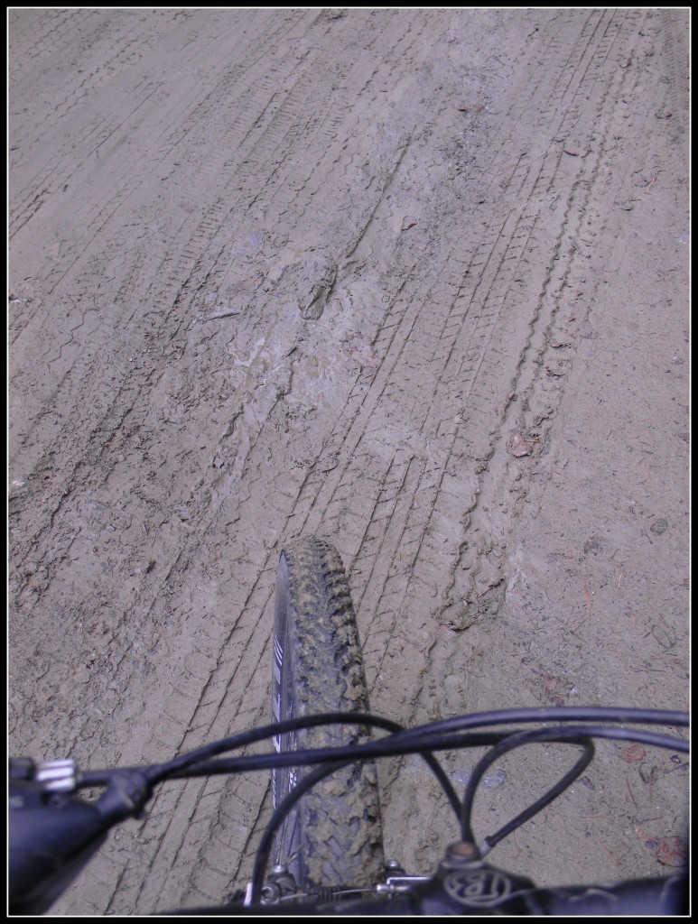 Road Conditions For Cycling In Jibhi