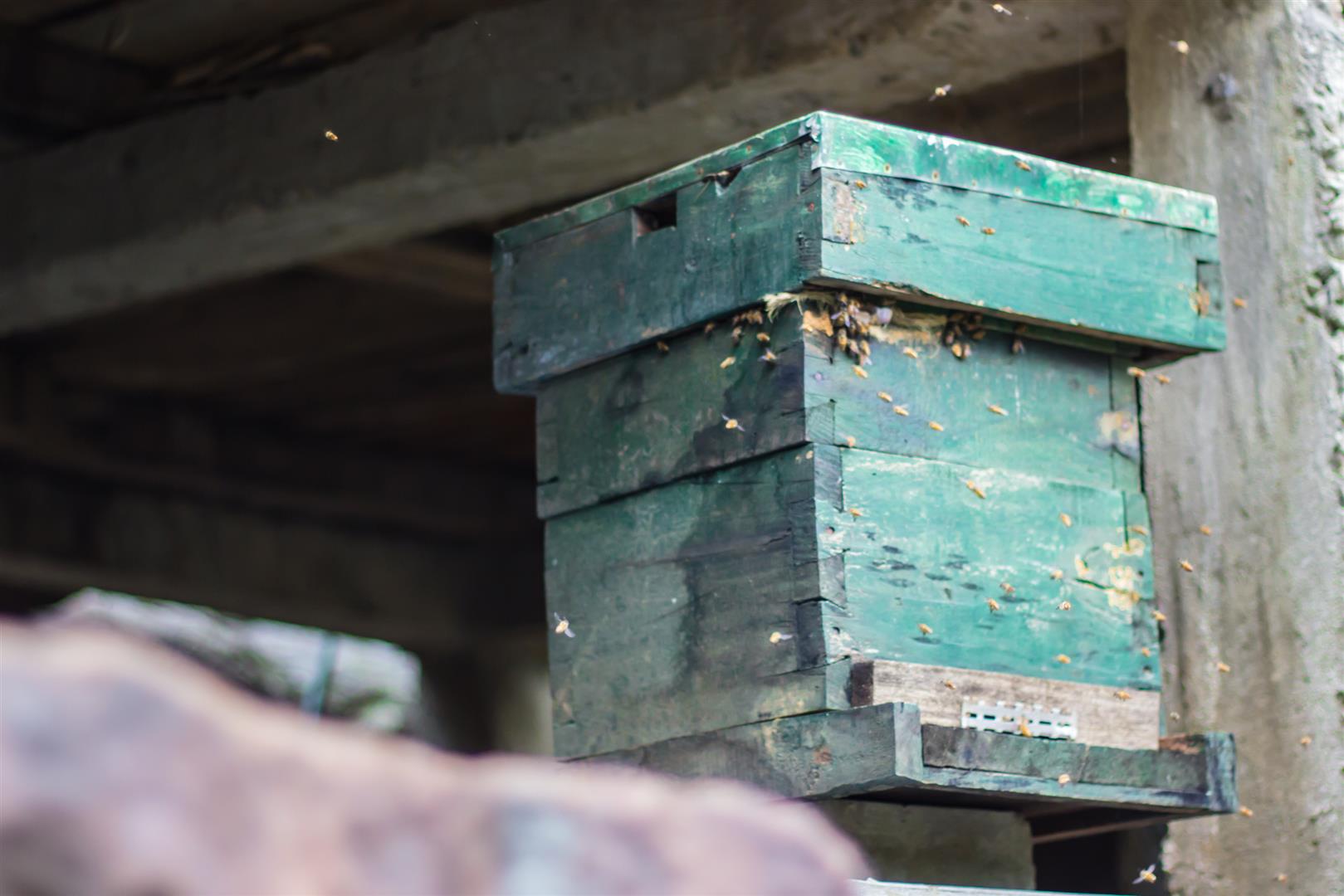 Bee-keeping in Nogriat