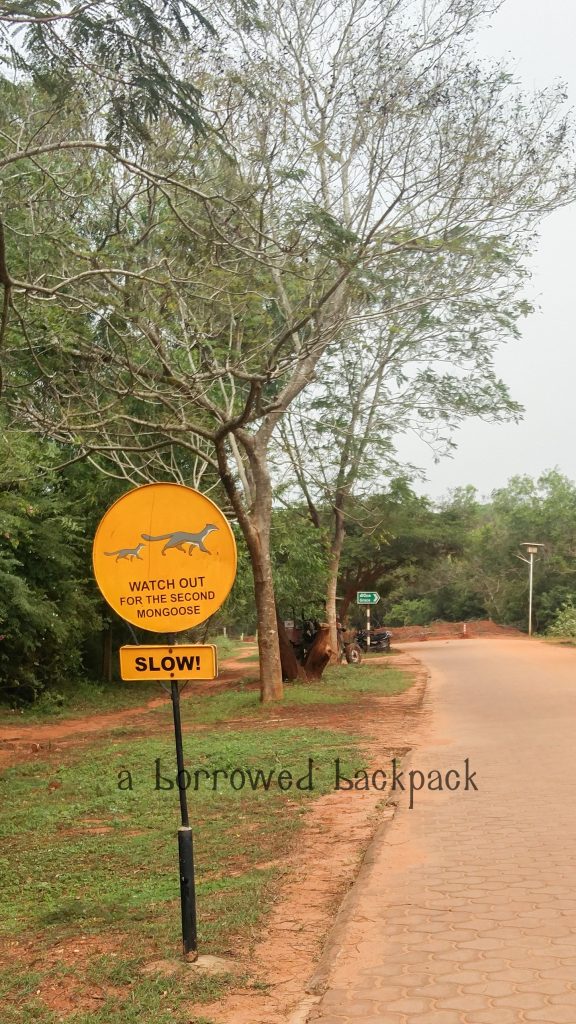 Auroville internship